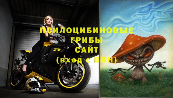 СК Алзамай