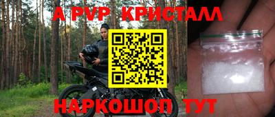 ГАЛЛЮЦИНОГЕННЫЕ ГРИБЫ Кингисепп