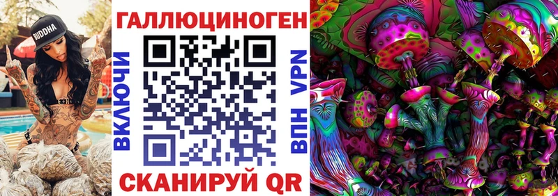 Псилоцибиновые грибы прущие грибы  Тосно 