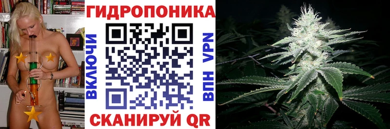Бошки Шишки сатива  Тосно 